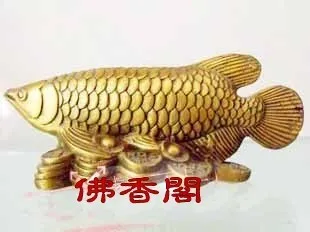 Tīra vara, misiņa, arowana fish naudu zivju feng shui rotājumi bronzas s tur Var būt pārpalikumi katru gadu.telpas Mākslas Statuja