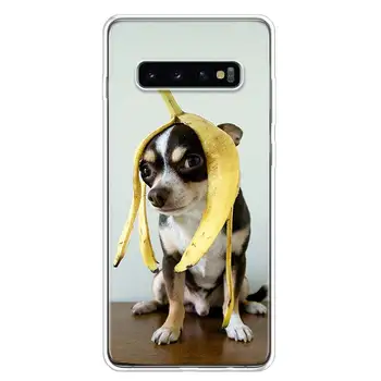 Čihuahua Kucēns Teacup Suņi Tālrunis Case For Samsung Galaxy S10 Lite S20 FE S21 Ultra S8 S9 Plus S7 Malas J4 J6 J8 Mākslas Coque Fundas